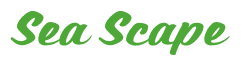 Rendering "Sea Scape" using Casual Script
