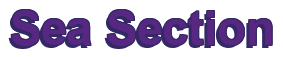 Rendering "Sea Section" using Arial Bold