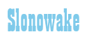Rendering "Slonowake" using Bill Board
