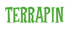 Rendering "TERRAPIN" using Cooper Latin