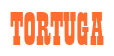 Rendering "TORTUGA" using Bill Board