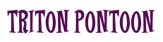 Rendering "TRITON PONTOON" using Cooper Latin