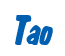 Rendering "Tao" using Big Nib
