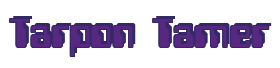 Rendering "Tarpon Tamer" using Computer Font