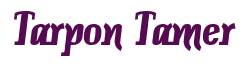 Rendering "Tarpon Tamer" using Color Bar