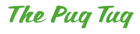 Rendering "The Pug Tug" using Casual Script