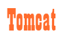 Rendering "Tomcat" using Bill Board