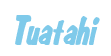 Rendering "Tuatahi" using Big Nib