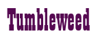 Rendering "Tumbleweed" using Bill Board