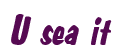 Rendering "U sea it" using Big Nib