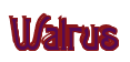 Rendering "Walrus" using Agatha