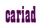 Rendering "cariad" using Bill Board