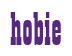 Rendering "hobie" using Bill Board