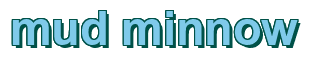 Rendering "mud minnow" using Arial Bold