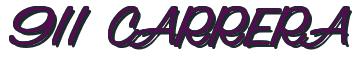 Rendering -911 CARRERA - using Archer DNA
