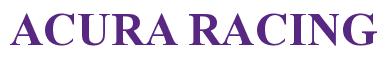 Rendering -ACURA RACING - using Times New Roman Bold