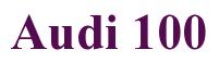 Rendering -Audi 100 - using Times New Roman Bold
