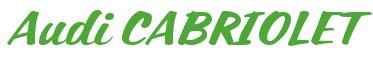 Rendering -Audi CABRIOLET - using Casual Script