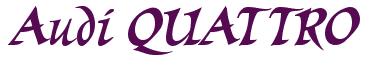 Rendering -Audi QUATTRO - using Braveheart