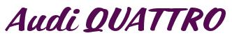 Rendering -Audi QUATTRO - using Casual Script