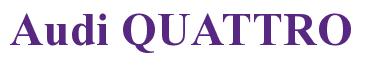 Rendering -Audi QUATTRO - using Times New Roman Bold