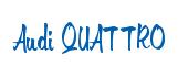 Rendering -Audi QUATTRO - using Memo