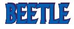Rendering -BEETLE - using Flair