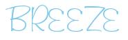 Rendering "BREEZE" using Freehand 591
