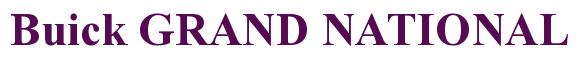 Rendering -Buick GRAND NATIONAL - using Times New Roman Bold