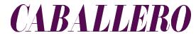 Rendering -CABALLERO - using Floral 