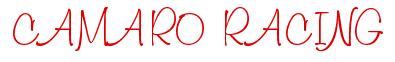 Rendering "CAMARO RACING" using Freehand 591