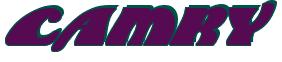 Rendering "CAMRY" using Brougham