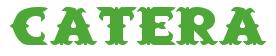 Rendering -CATERA - using Saloon