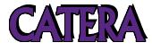 Rendering -CATERA - using Flair