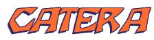Rendering -CATERA - using Wood Cut