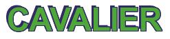 Rendering -CAVALIER - using Arial Bold