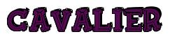 Rendering -CAVALIER - using FinkBold