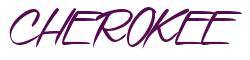 Rendering -CHEROKEE - using Speed Stroke