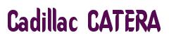 Rendering -Cadillac CATERA - using Callimarker