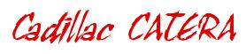 Rendering -Cadillac CATERA - using Scratch