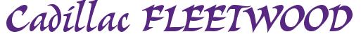 Rendering -Cadillac FLEETWOOD - using Braveheart