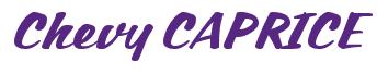 Rendering -Chevy CAPRICE - using Casual Script
