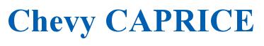 Rendering -Chevy CAPRICE - using Times New Roman Bold