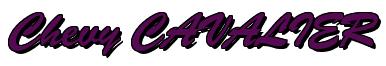 Rendering -Chevy CAVALIER - using Brush Script