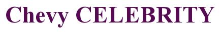 Rendering -Chevy CELEBRITY - using Times New Roman Bold