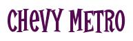 Rendering -Chevy METRO - using Cooper Latin