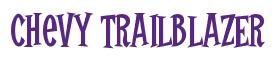 Rendering -Chevy TRAILBLAZER - using Cooper Latin