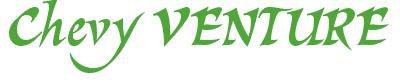 Rendering -Chevy VENTURE - using Braveheart