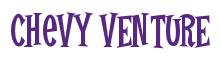 Rendering -Chevy VENTURE - using Cooper Latin