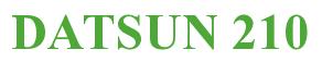 Rendering -DATSUN 210 - using Times New Roman Bold